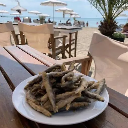 Apartment In The Center Of Sarafovo *