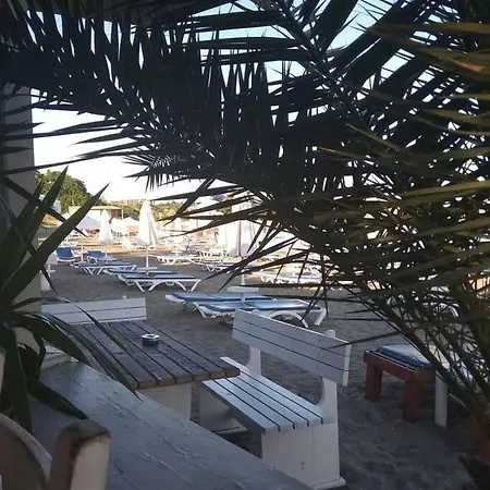 In The Center Of Sarafovo Burgas